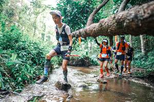 BIB: 
                            <button type="button" onclick="openModal(25375349)" class="btn btn-primary btn-sm float-right btn-popup" data-toggle="modal" data-target=".modal-high-quality">
                        <i class="fas fa-shopping-cart"></i> Add to Cart
                    </button>
                                            <button type="button" onclick="isThisMe(25375349, true)" class="btn btn-success btn-sm float-right btn-popup btn-isme hidden" data-toggle="tooltip" data-placement="bottom" title="นี่คือรูปของคุณใช่ไหม คลิกที่นี่เพื่อเอาเข้าอัลบั้ม">
                        <i class="fas fa-plus"></i> Add to album
                    </button>
                    <button type="button" onclick="isThisMe(25375349, false)" class="btn btn-warning btn-sm float-right btn-popup btn-isnotme hidden">
                        <i class="fas fa-ban"></i> Remove from album
                    </button>